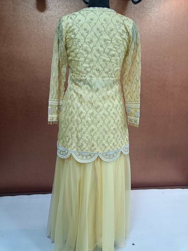 Label T2 Designer Peplum with Plazo Heavy Hand Embroidery - Image 3