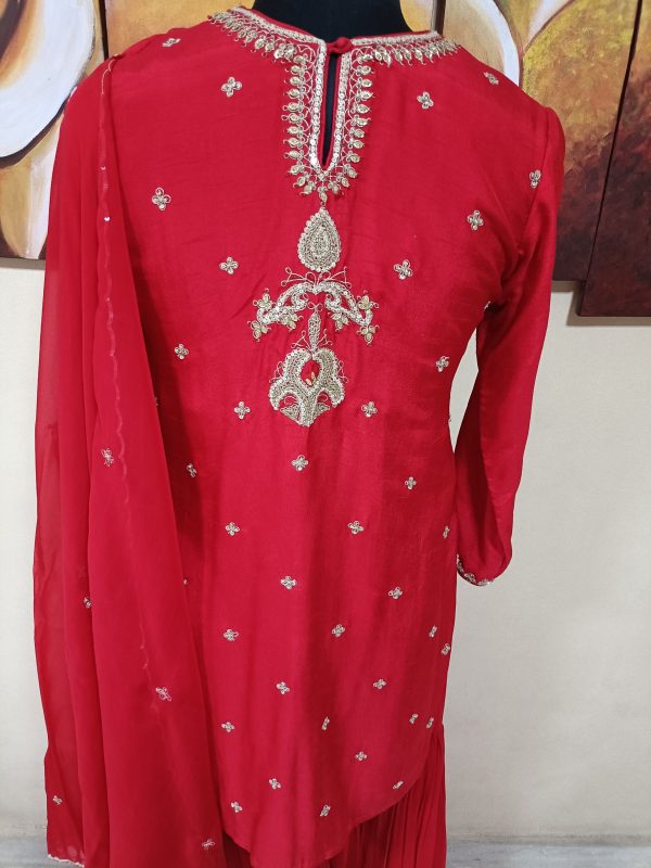 Kurti Sharara with Dupatta.  Hand Embroidery - Image 4