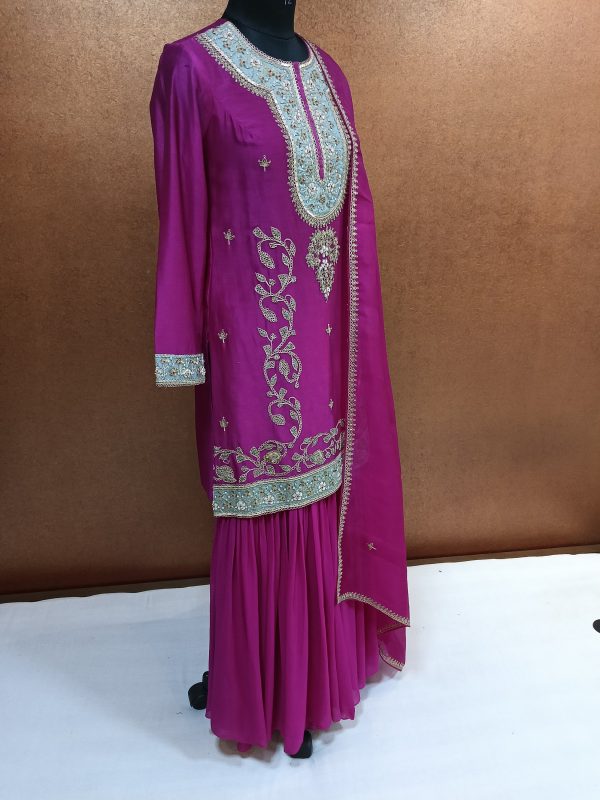Label T2 Designer Kurti Sharara with Dupatta Exclusive Hand Embroidery - Image 2