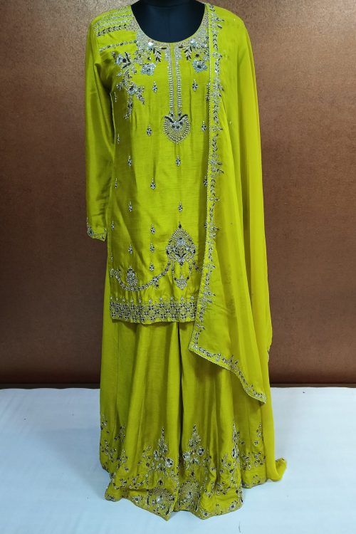 Label T2 Designer Kurti,12 Kali Gharara with Dupatta. Exclusive Full Hand Zardozi Embroidery