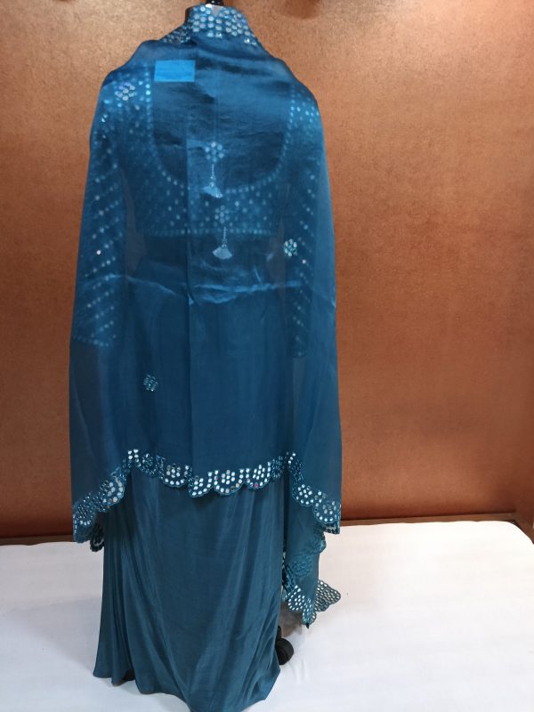Label T2 Designer Cape Bustair with Drape Skirt. Heavy mirror work - Image 3