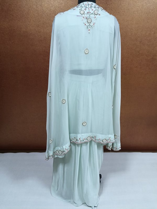 Label T2 Designer Cape Bustair with Drape Skirt Heavy Hand Embroidery - Image 4