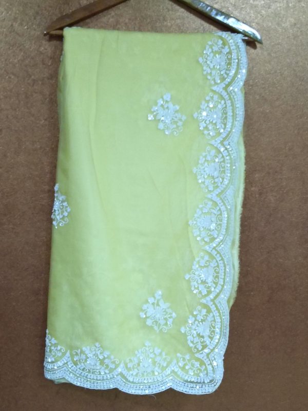 Label T2 Designer Saree with beautiful Hand Embroidery - Image 4